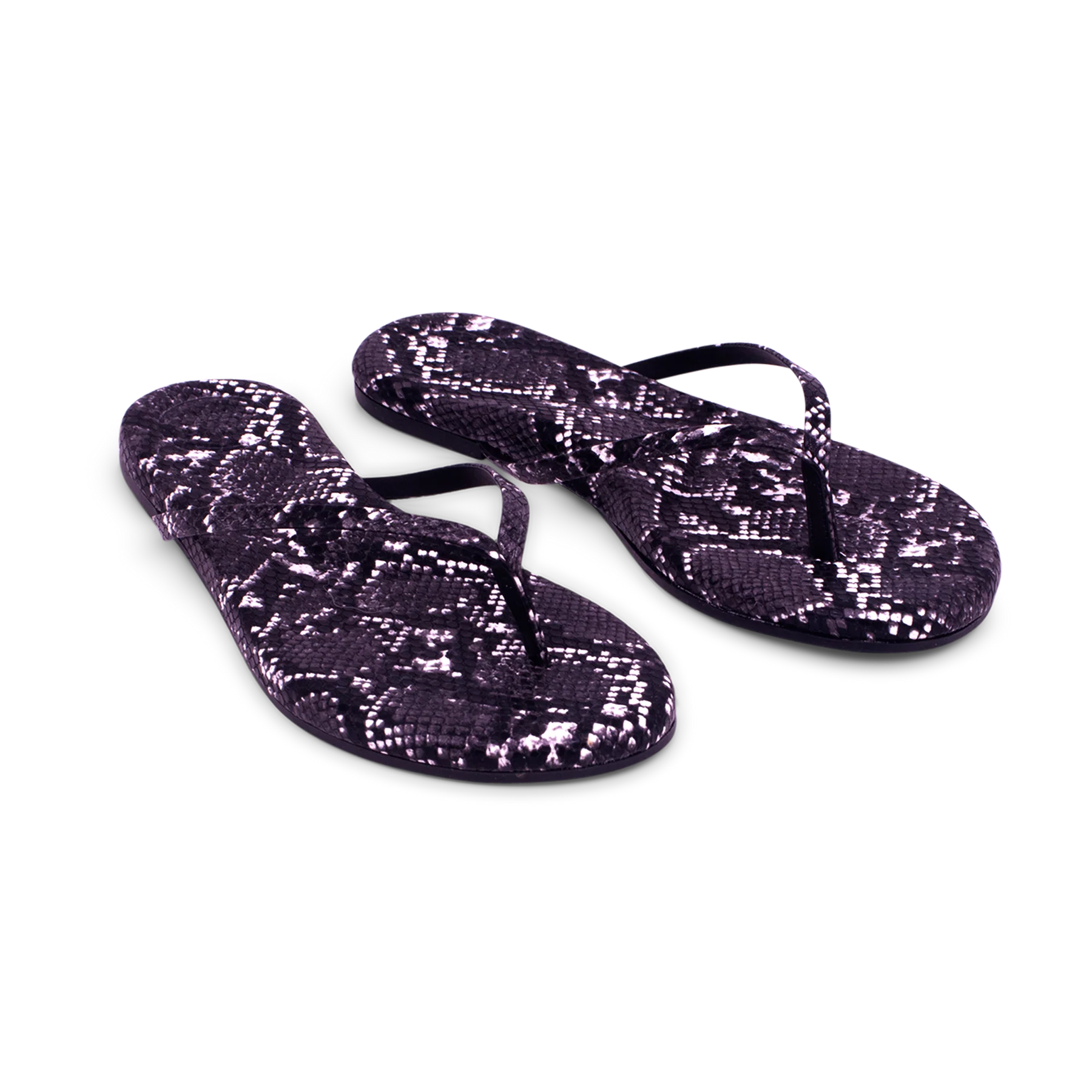 Indie - black snake