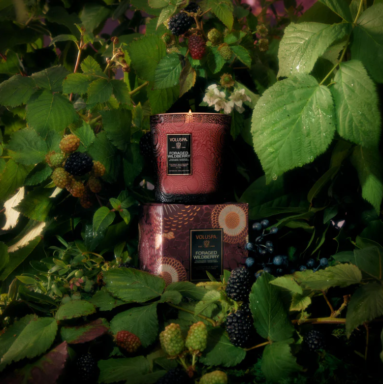 Foraged Wildberry Classic Candle