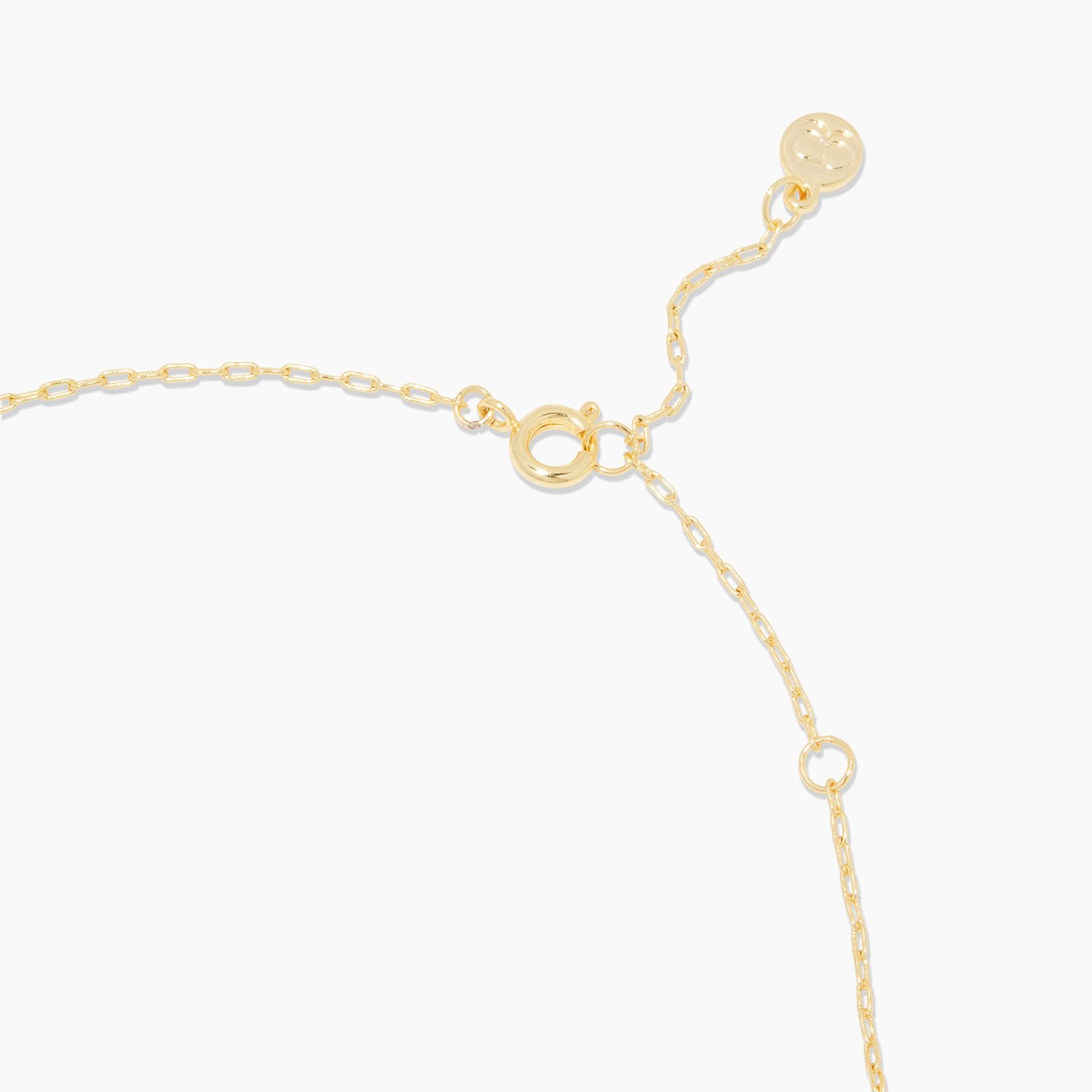 Brooks charm necklace - gold