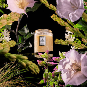 Jasmine Midnight Blooms small jar candle - 5.5oz